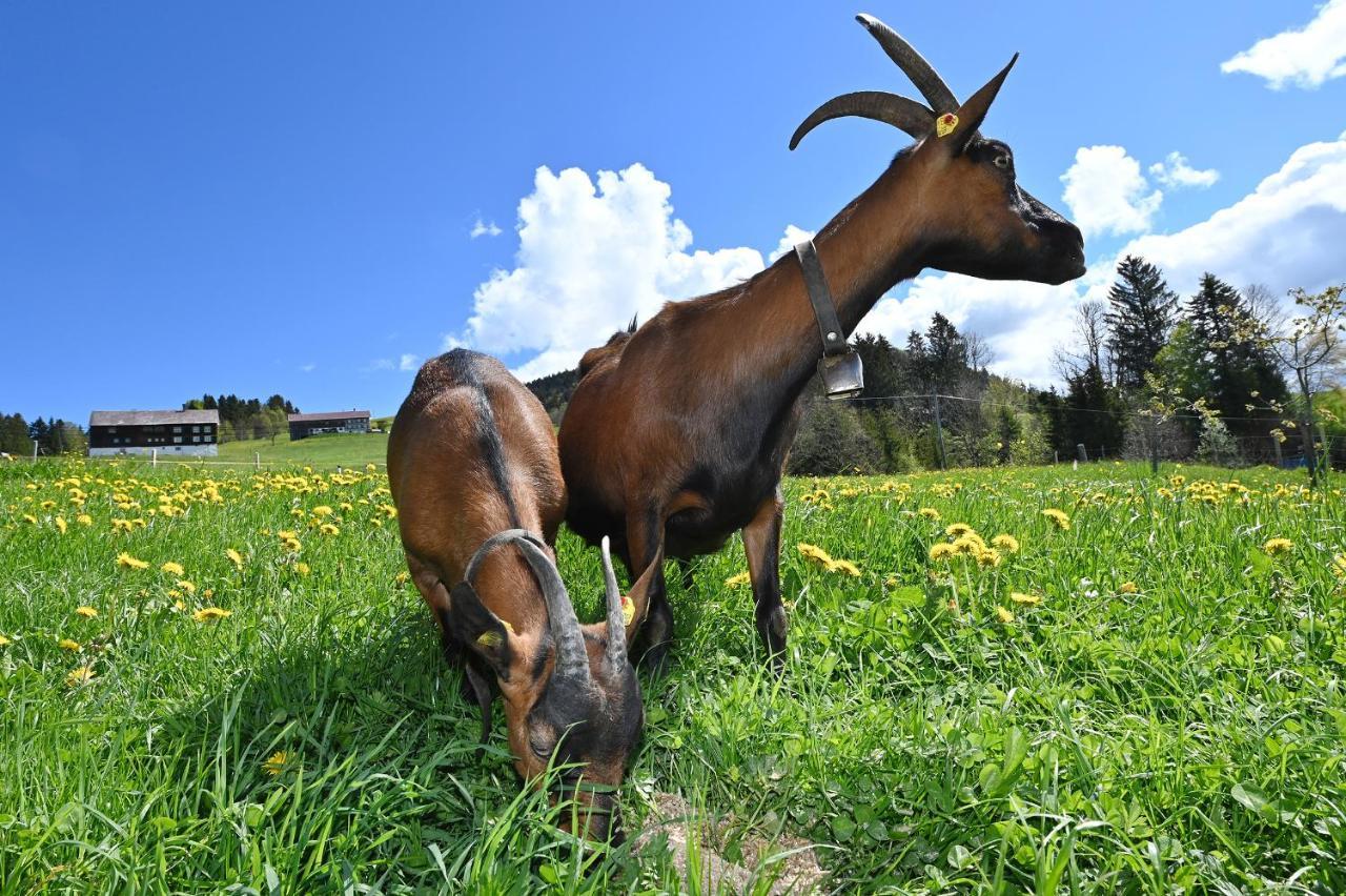 Bauernhof Bilgeri Βίλα Hittisau Εξωτερικό φωτογραφία