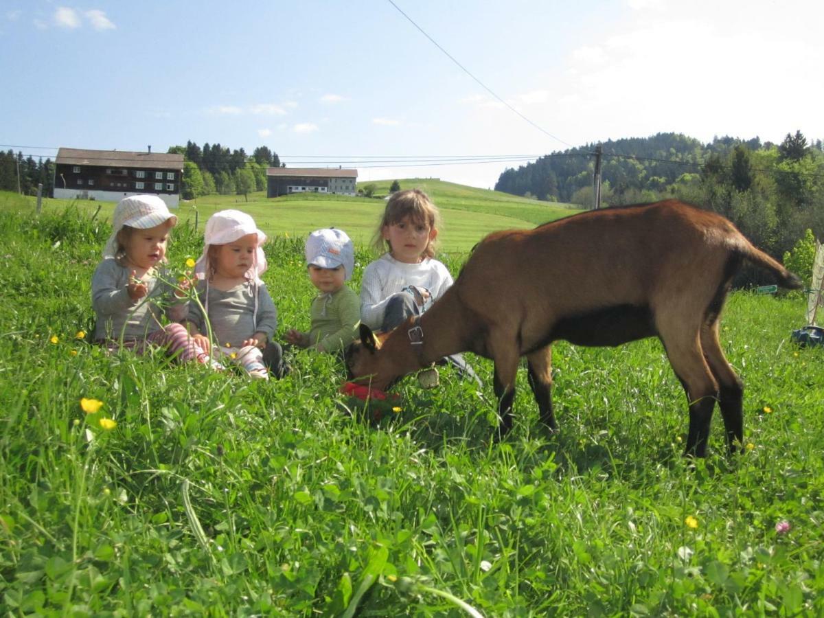Bauernhof Bilgeri Βίλα Hittisau Εξωτερικό φωτογραφία