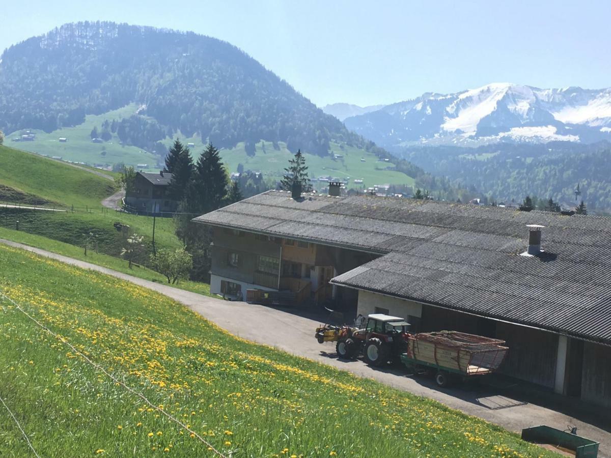 Bauernhof Bilgeri Βίλα Hittisau Εξωτερικό φωτογραφία